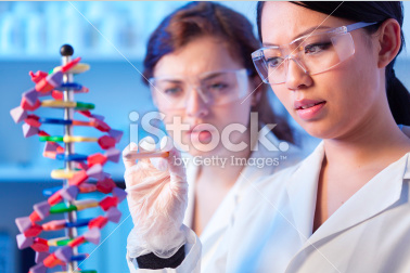 "Who keeps leaving this child's model of DNA in our genetics lab?"